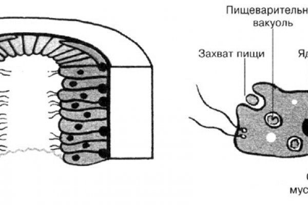 Как вернуть аккаунт на кракене