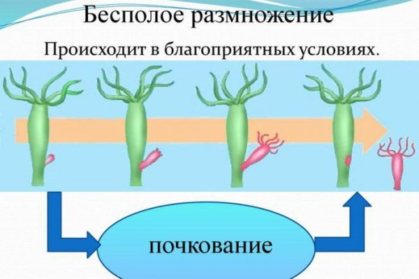 Kraken ссылка krakentor site