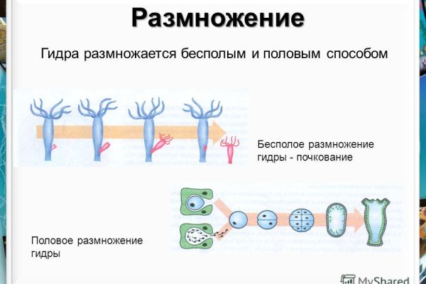 Кракен маркет даркнет speed up